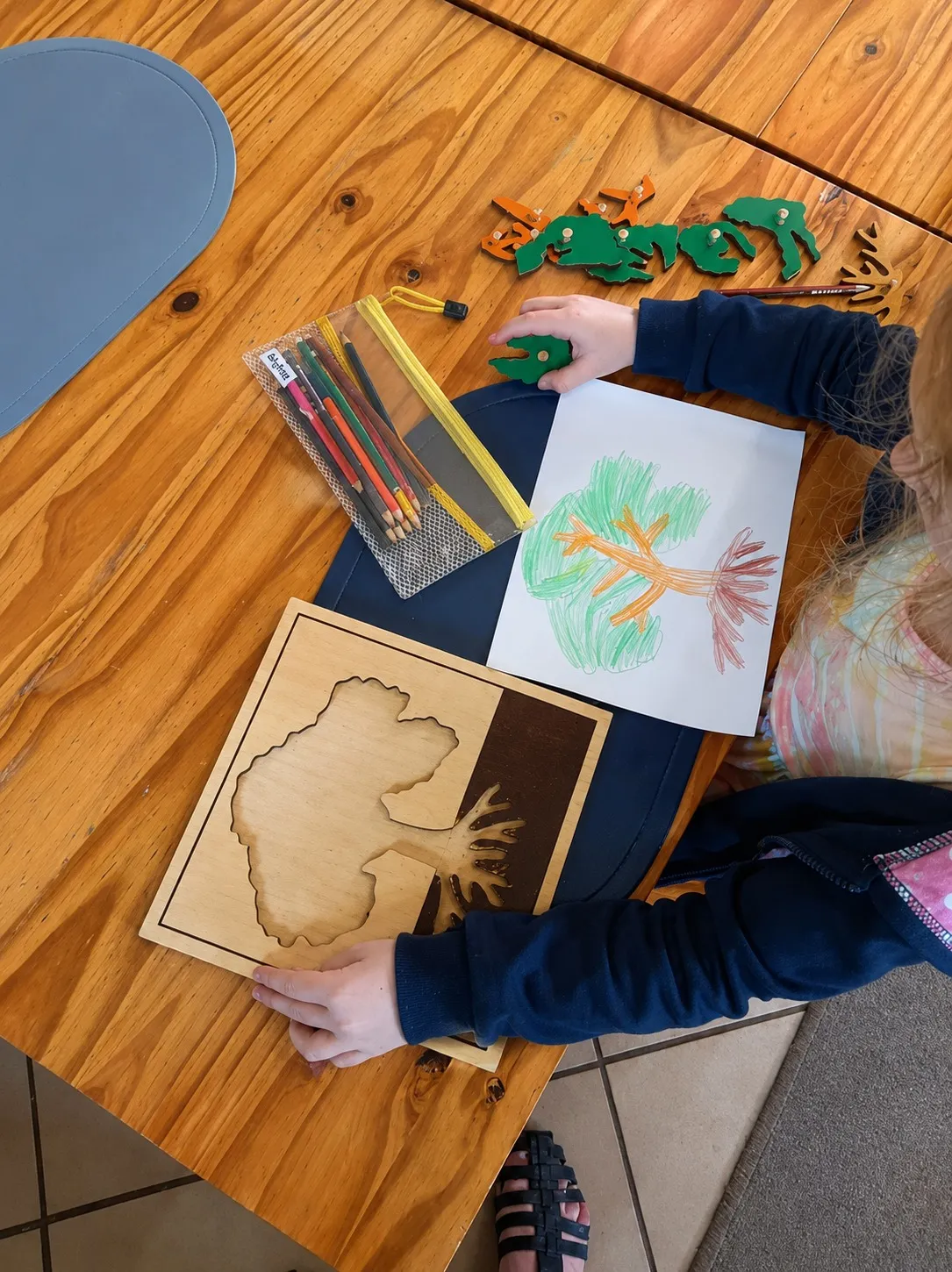 A child drawing a tree with crayons beside a wooden botany puzzle